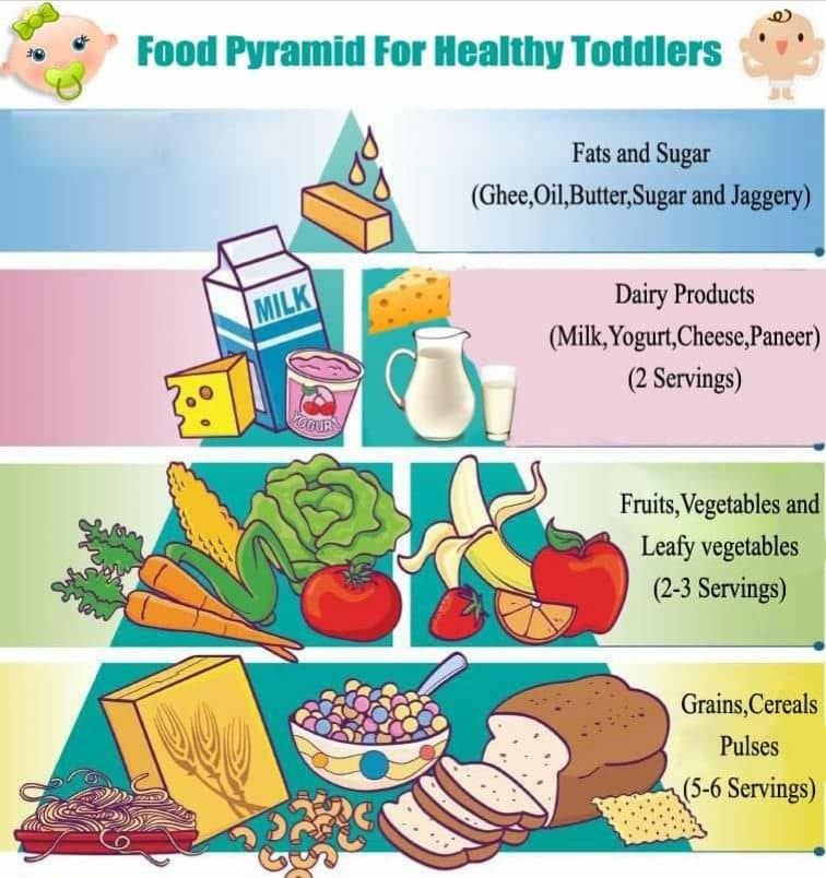 Healthy food pyramid for toddlers